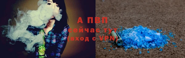 шишки Беломорск