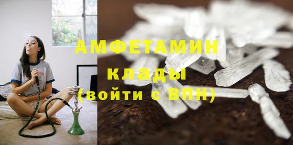 шишки Беломорск