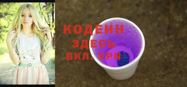 шишки Беломорск