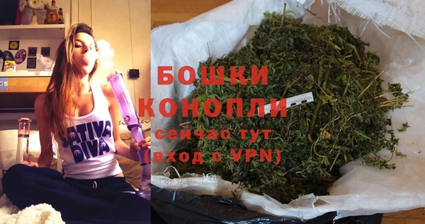шишки Беломорск
