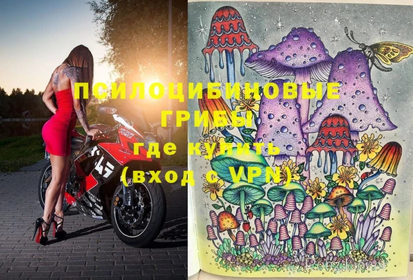 шишки Беломорск