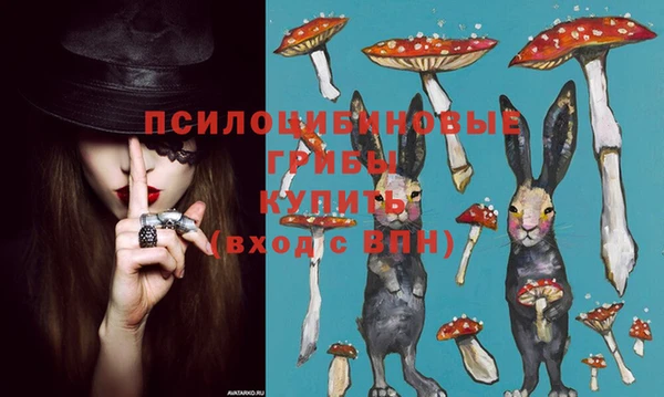 твердый Белоозёрский