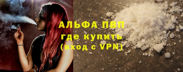 шишки Беломорск