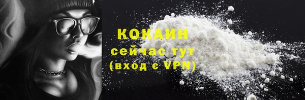 шишки Беломорск