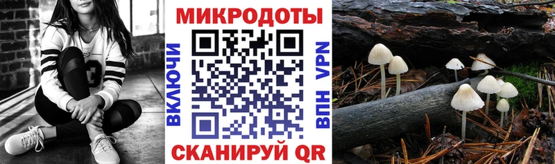 Псилоцибиновые грибы GOLDEN TEACHER  Красный Холм 
